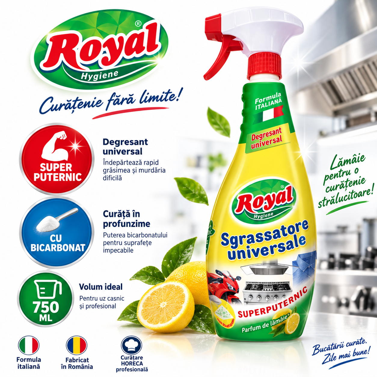 Royal Hygiene Sgrassatore Universale degresant cu bicarbonat