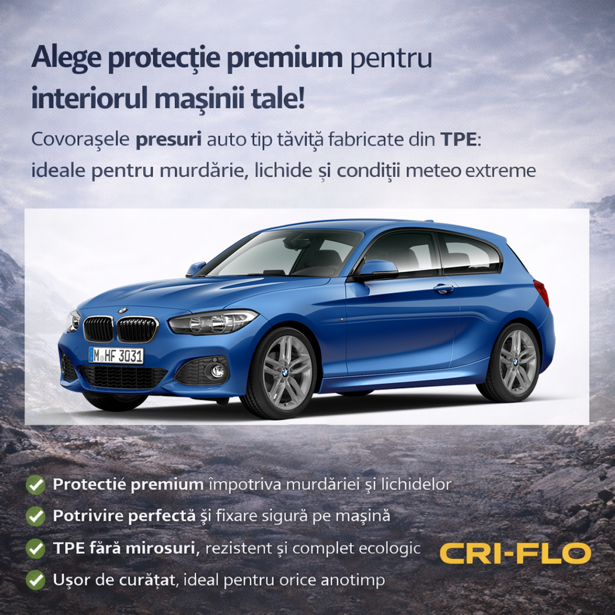 Set covorașe BMW F21