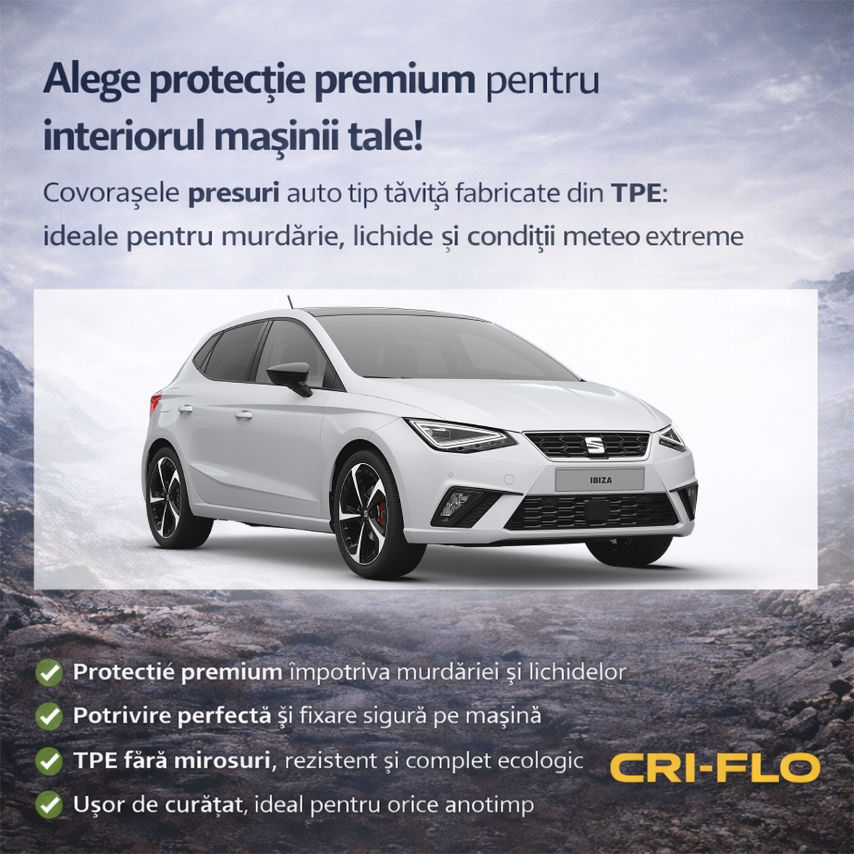 Set Seat Ibiza