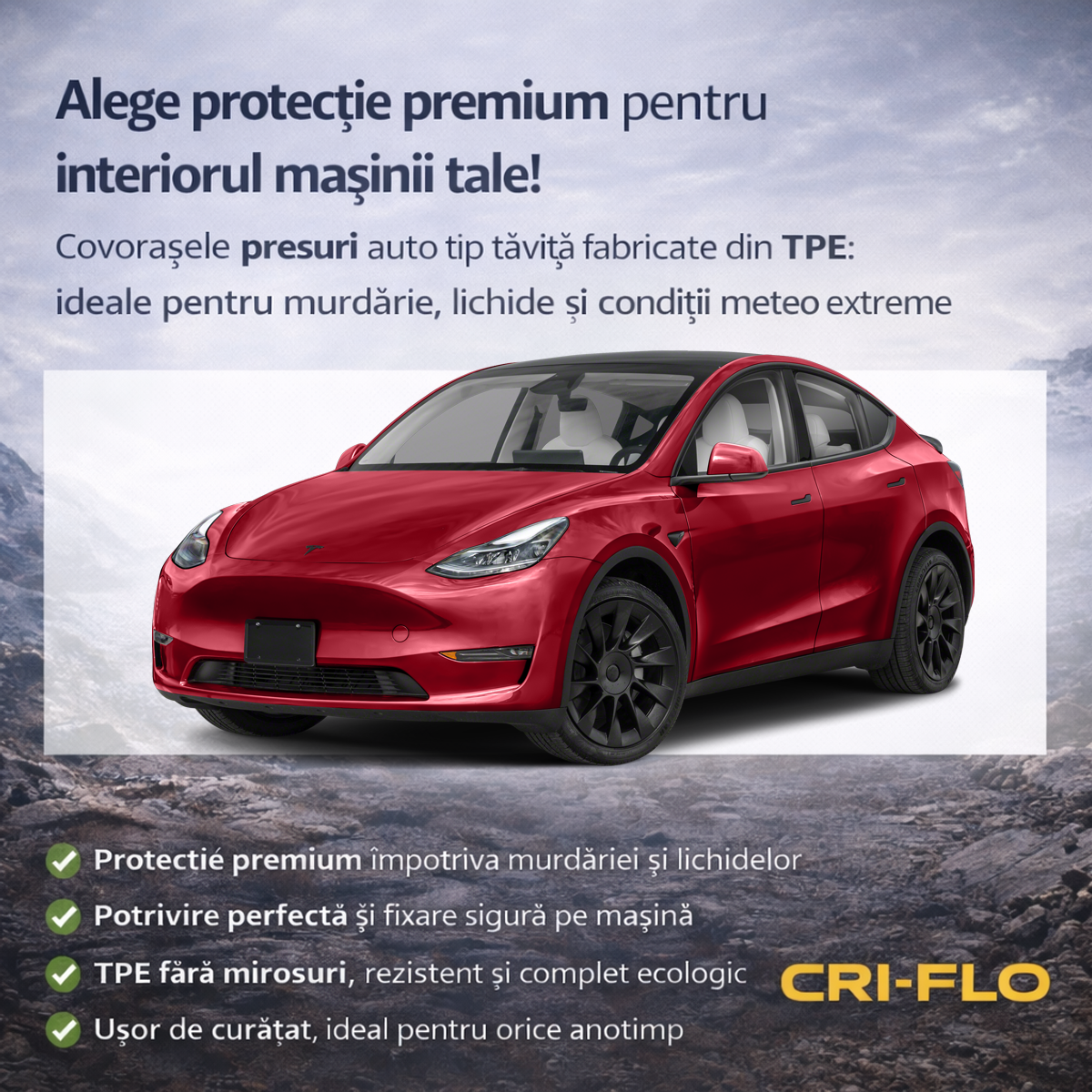 Tesla Model Y Mats