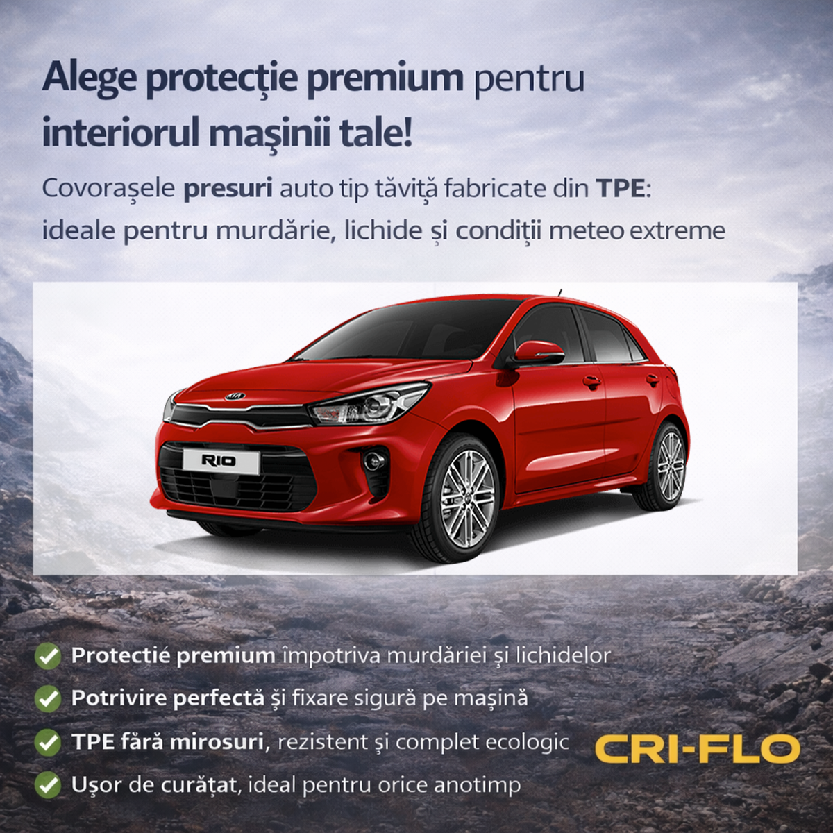 Vedere ansamblu Kia Rio III