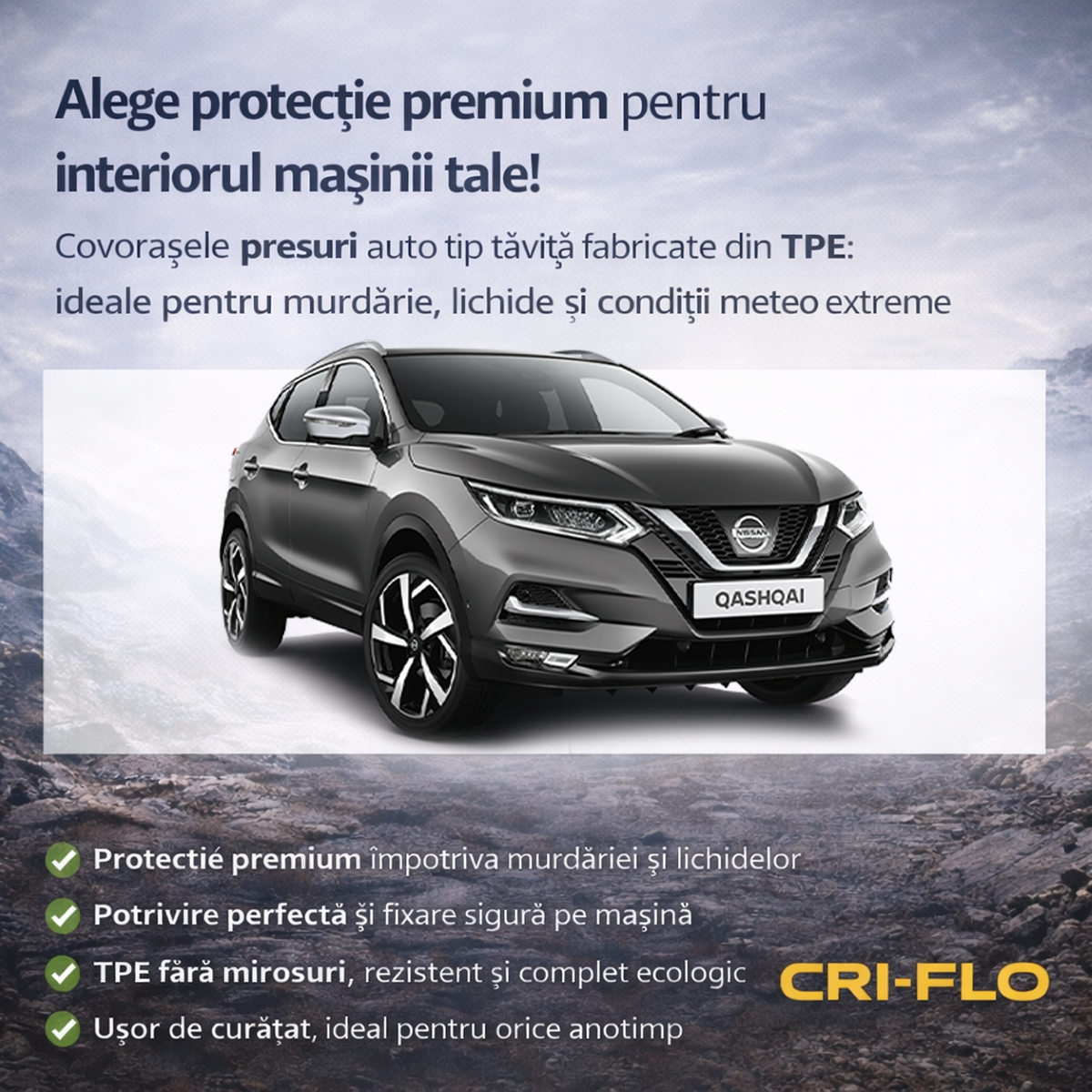 Vedere ansamblu &ndash; Nissan Qashqai II