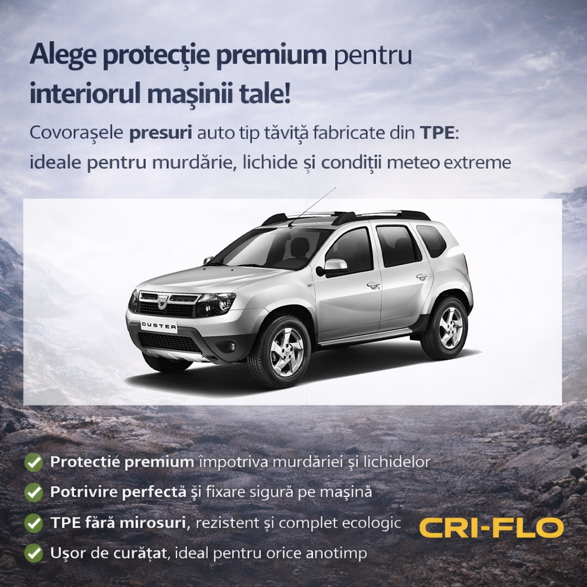 Vedere ansamblu Dacia Duster I