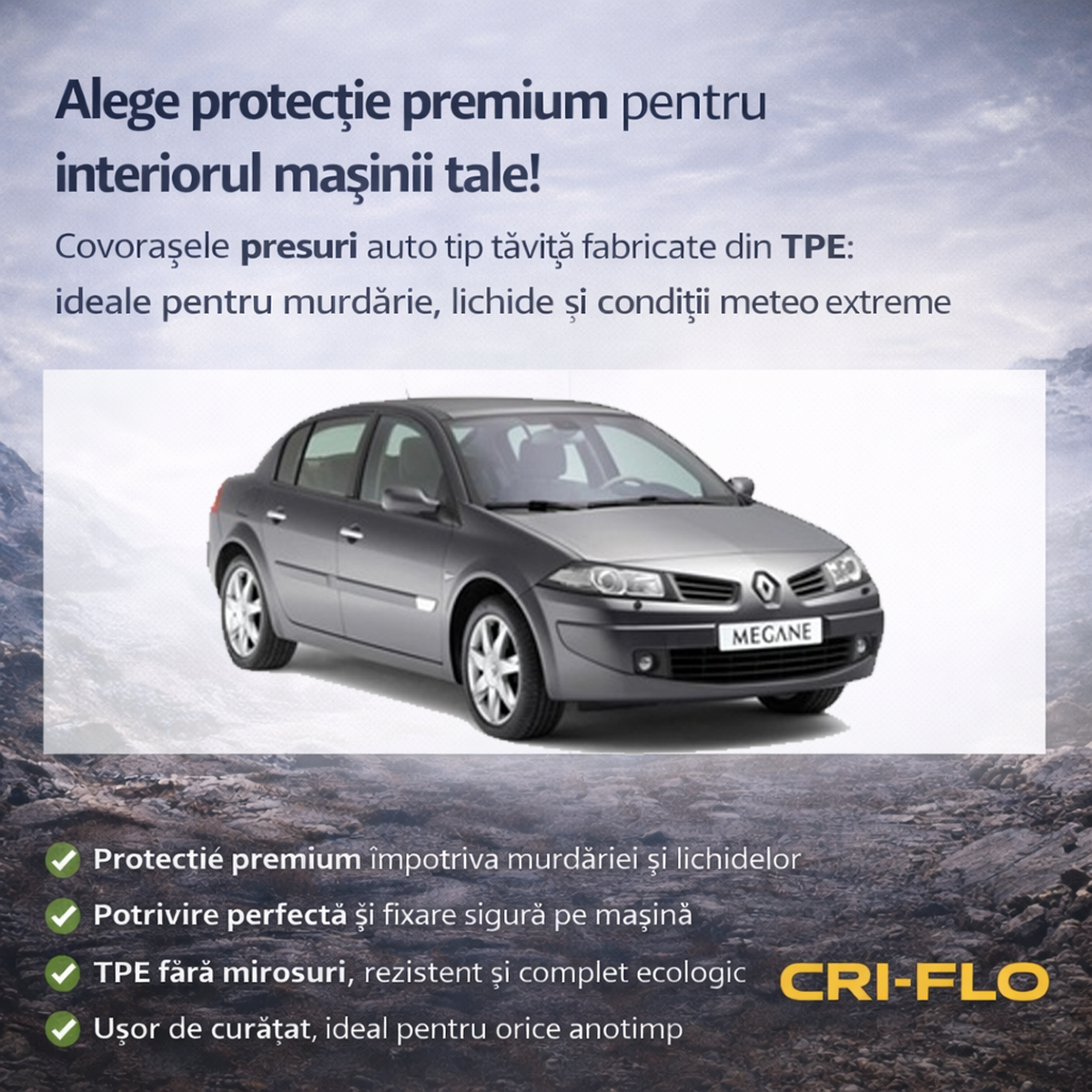 Vedere ansamblu Renault Megane II