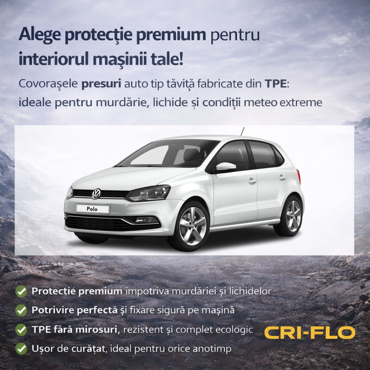 Vedere ansamblu &ndash; VW Polo