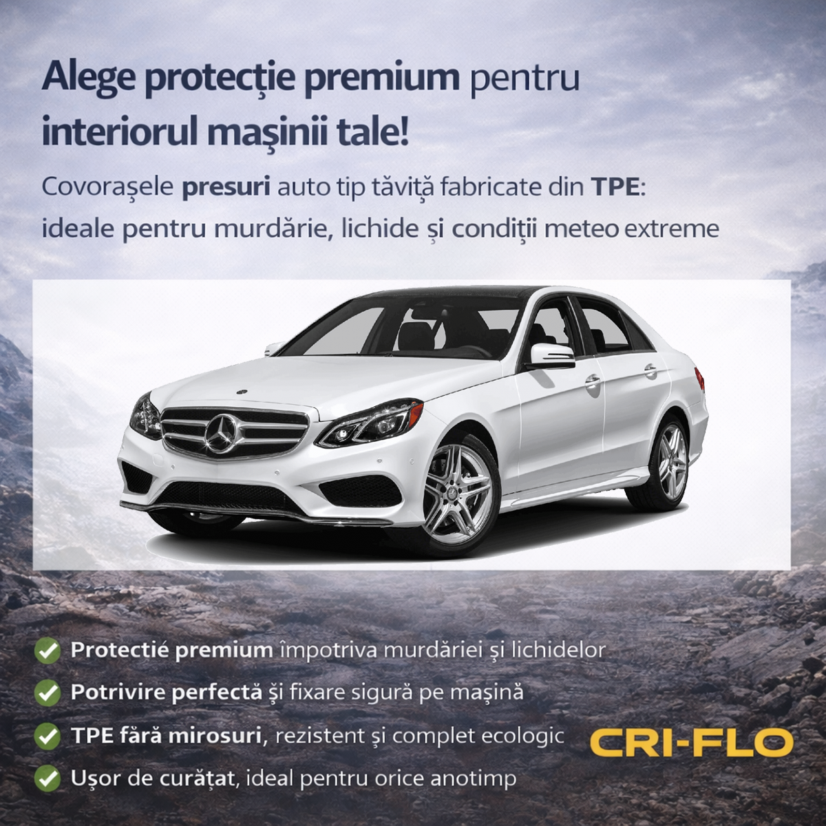Ansamblu Mercedes E-Class W212