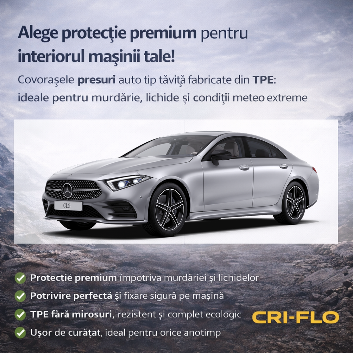 Ansamblu Mercedes CLS
