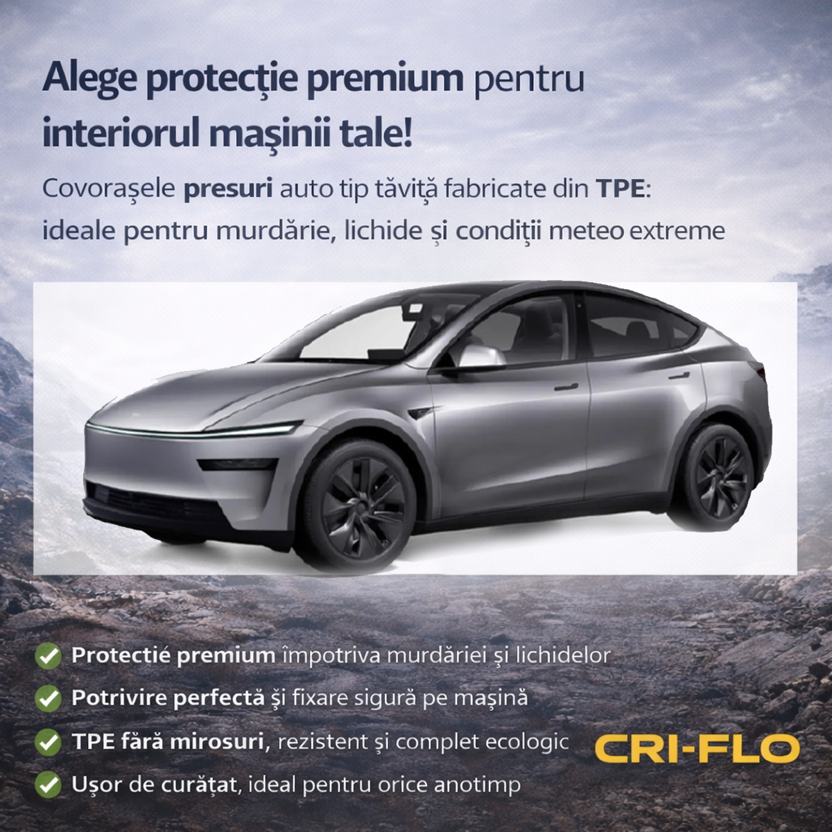 Set covorașe Tesla 2025