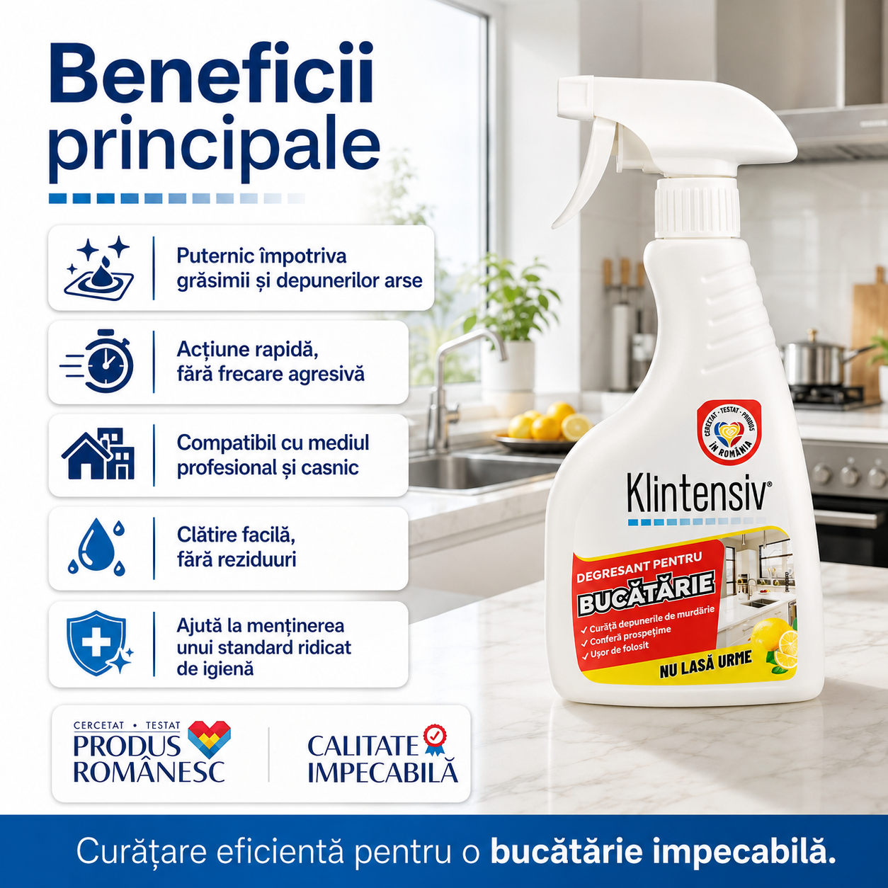 Soluție degresantă Klintensiv pentru hote plite cuptoare grătare tăvi și inox