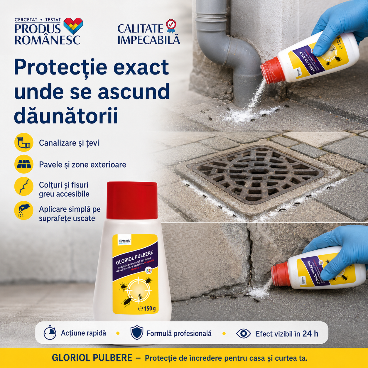 Beneficii GLORIOL pulbere insecticidă aplicare directă eficiență 24 ore pentru furnici și g&acirc;ndaci