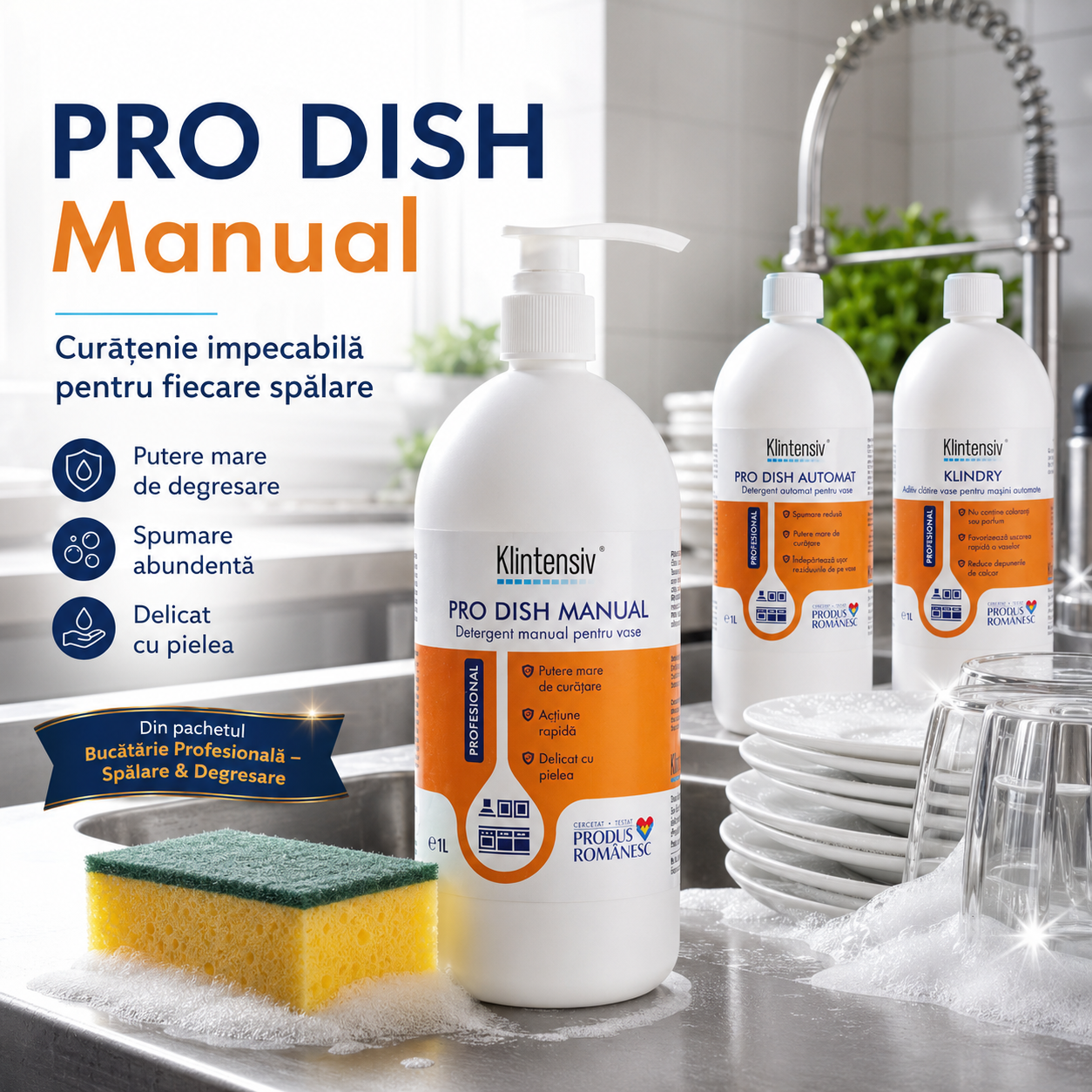 PRO DISH Manual Klintensiv Professional detergent concentrat pentru vase