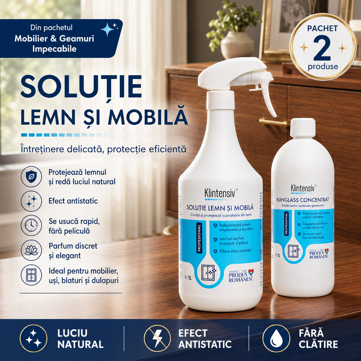 Klintensiv Professional Solutie pentru Lemn si Mobila