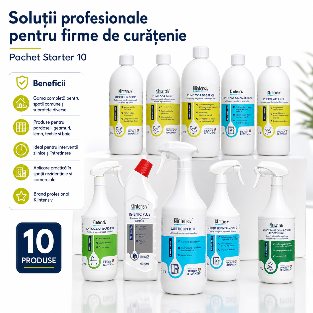 Anticalcar Rapid si Igienic Plus Klintensiv Professional pentru bai si grupuri sanitare