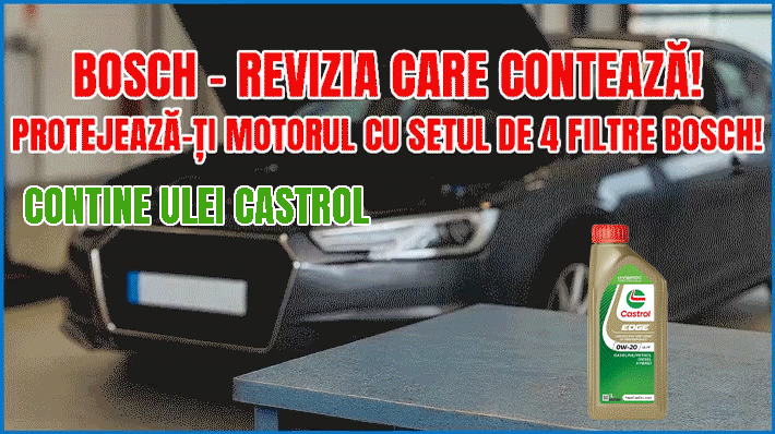 Pachet filtre revizie Bosch, 3 litrii ulei Castrol 10W40 SUZUKI ALTO VII (GF, HA25_, HA35_) 1.0 (AMF310, GFC31S) din 2009, 4x Stickere auto cu SUZUKI